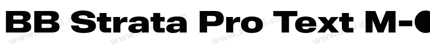BB Strata Pro Text M字体转换